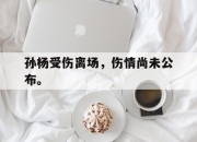 爱游戏平台官网下载电脑版-孙杨受伤离场，伤情尚未公布。