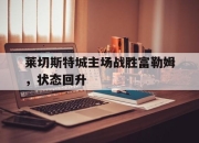 爱游戏平台官网下载电脑版-莱切斯特城主场战胜富勒姆，状态回升