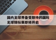 爱游戏ayx平台-国内足球界备受期待的国际足球锦标赛即将开启