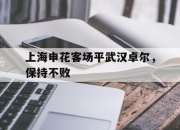 爱游戏平台官网下载电脑版-上海申花客场平武汉卓尔，保持不败