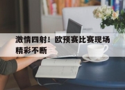 爱游戏平台官网下载电脑版-激情四射！欧预赛比赛现场精彩不断