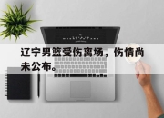 爱游戏平台官网下载电脑版-辽宁男篮受伤离场，伤情尚未公布。