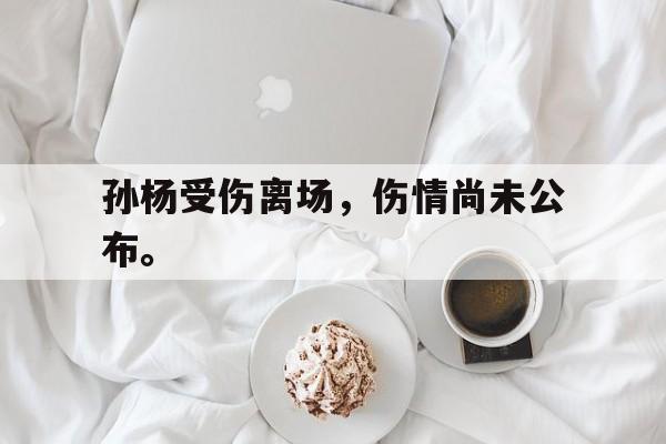 孙杨受伤离场，伤情尚未公布。