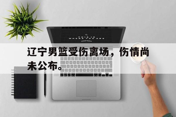 辽宁男篮受伤离场，伤情尚未公布。