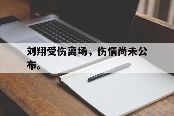 刘翔受伤离场，伤情尚未公布。